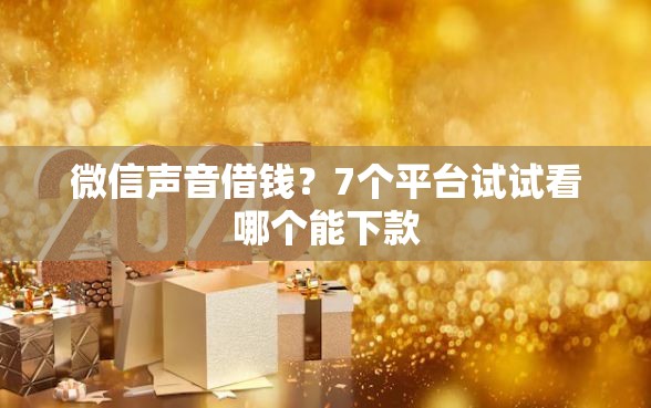 微信声音借钱？7个平台试试看哪个能下款