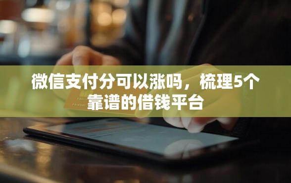 微信支付分可以涨吗，梳理5个靠谱的借钱平台