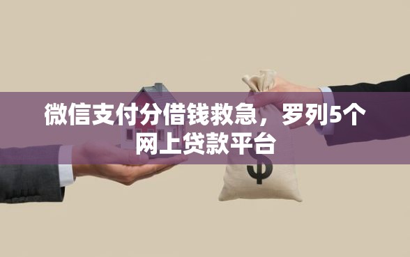 微信支付分借钱救急，罗列5个网上贷款平台