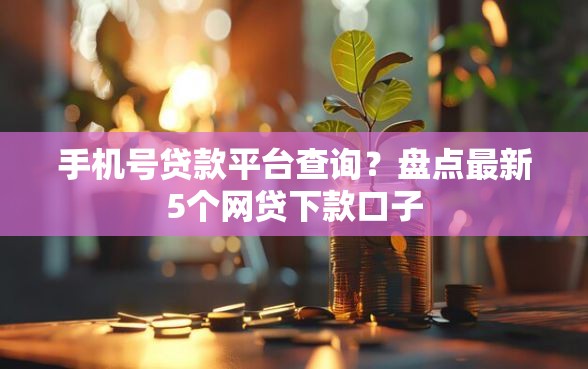 手机号贷款平台查询？盘点最新5个网贷下款口子