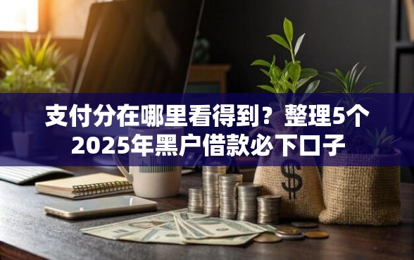 支付分在哪里看得到？整理5个2025年黑户借款必下口子