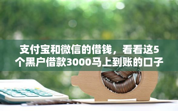 支付宝和微信的借钱，看看这5个黑户借款3000马上到账的口子