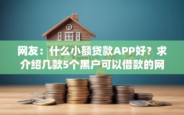 网友：什么小额贷款APP好？求介绍几款5个黑户可以借款的网贷app