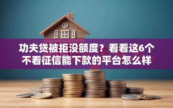 功夫贷被拒没额度？看看这6个不看征信能下款的平台怎么样