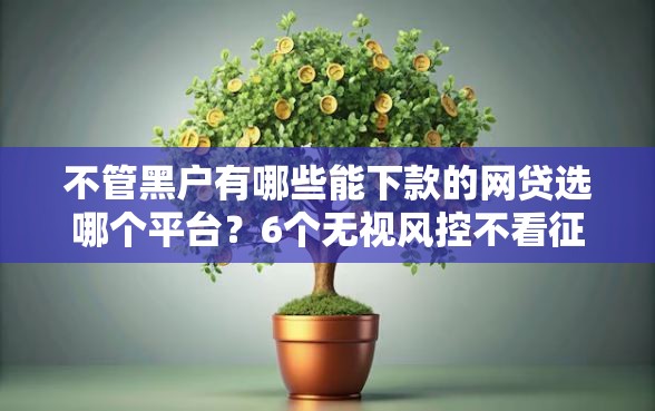 不管黑户有哪些能下款的网贷选哪个平台？6个无视风控不看征信的网贷推荐