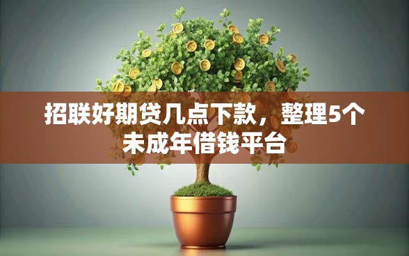 招联好期贷几点下款，整理5个未成年借钱平台
