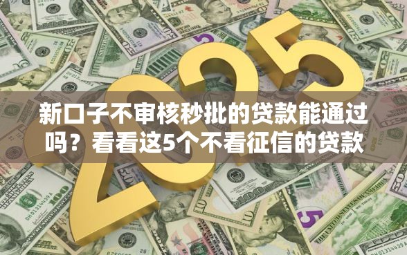 新口子不审核秒批的贷款能通过吗？看看这5个不看征信的贷款平台一定能下款怎么样