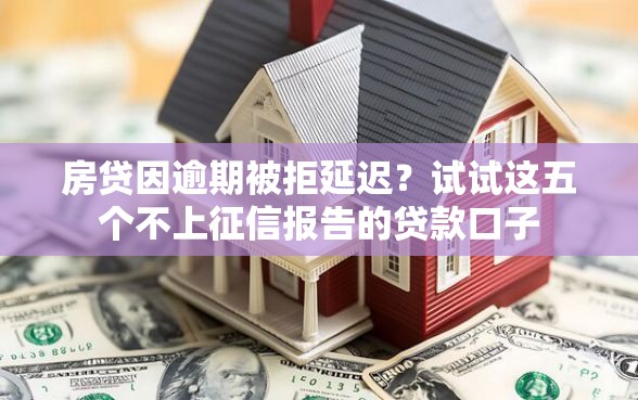 房贷因逾期被拒延迟？试试这五个不上征信报告的贷款口子