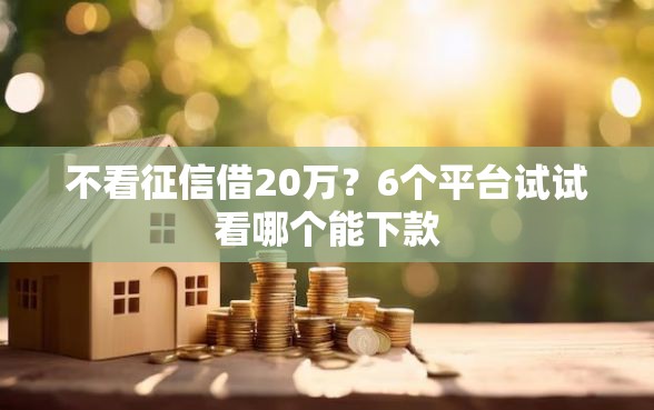 不看征信借20万？6个平台试试看哪个能下款