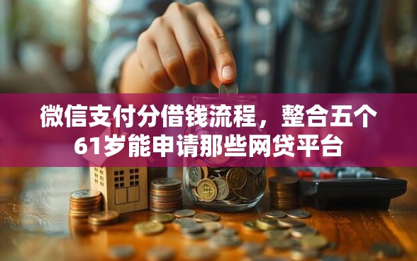 微信支付分借钱流程，整合五个61岁能申请那些网贷平台