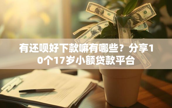 有还呗好下款嘛有哪些？分享10个17岁小额贷款平台