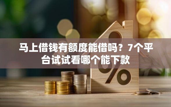 马上借钱有额度能借吗？7个平台试试看哪个能下款