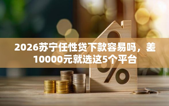 2026苏宁任性贷下款容易吗，差10000元就选这5个平台