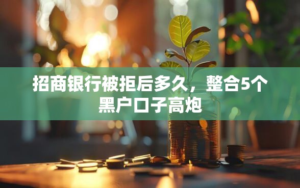 招商银行被拒后多久，整合5个黑户口子高炮