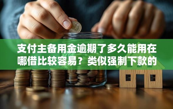 支付主备用金逾期了多久能用在哪借比较容易？类似强制下款的8个口子参考