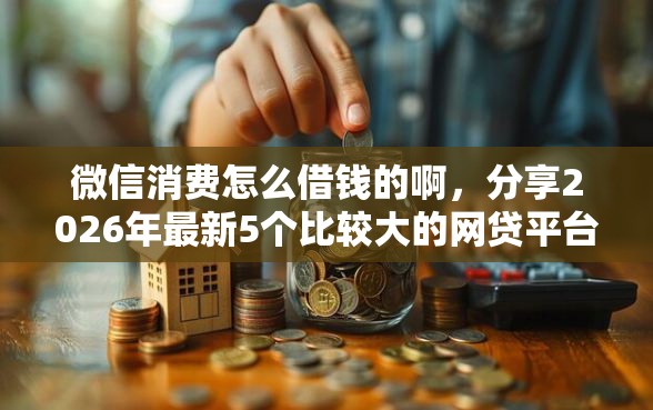 微信消费怎么借钱的啊，分享2026年最新5个比较大的网贷平台