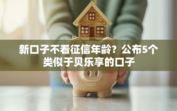 新口子不看征信年龄？公布5个类似于贝乐享的口子
