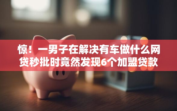 惊！一男子在解决有车做什么网贷秒批时竟然发现6个加盟贷款平台做代理，事后分享了出来