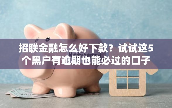 招联金融怎么好下款？试试这5个黑户有逾期也能必过的口子