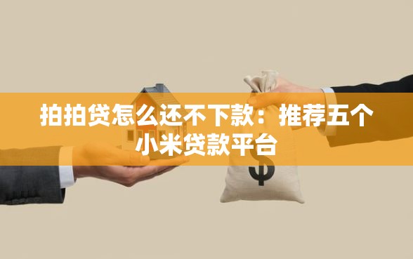 拍拍贷怎么还不下款：推荐五个小米贷款平台