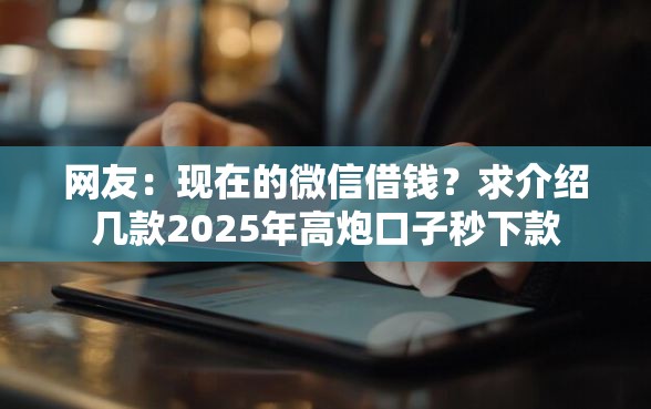 网友：现在的微信借钱？求介绍几款2025年高炮口子秒下款