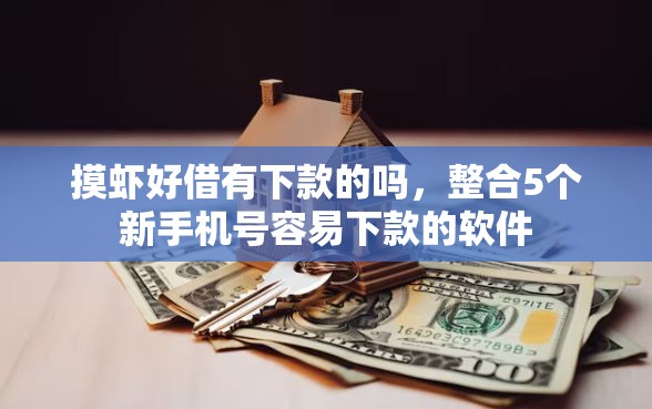摸虾好借有下款的吗，整合5个新手机号容易下款的软件