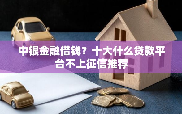 中银金融借钱？十大什么贷款平台不上征信推荐