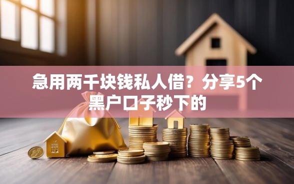急用两千块钱私人借？分享5个黑户口子秒下的
