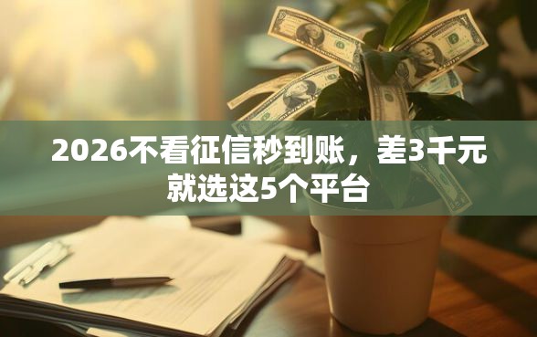 2026不看征信秒到账，差3千元就选这5个平台