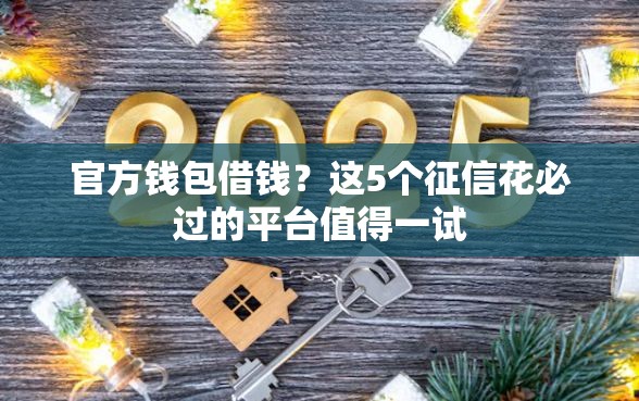 官方钱包借钱？这5个征信花必过的平台值得一试