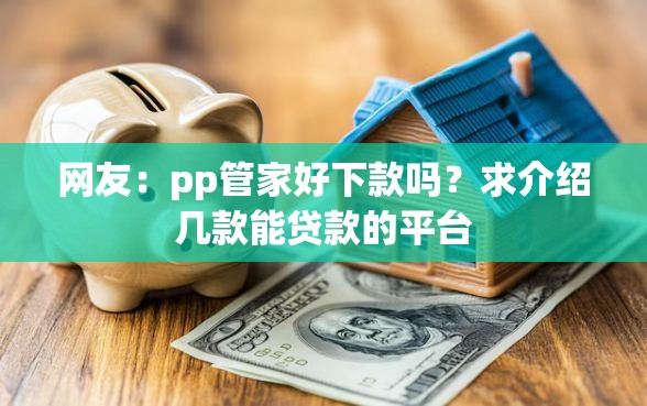 网友：pp管家好下款吗？求介绍几款能贷款的平台