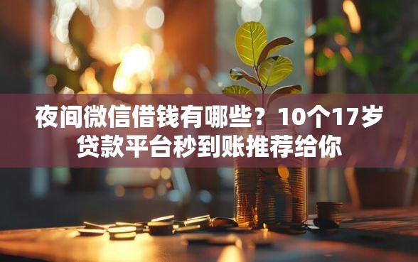 夜间微信借钱有哪些？10个17岁贷款平台秒到账推荐给你
