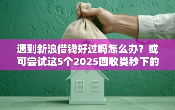 遇到新浪借钱好过吗怎么办？或可尝试这5个2025回收类秒下的口子
