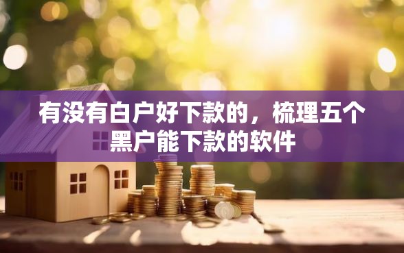 有没有白户好下款的，梳理五个黑户能下款的软件