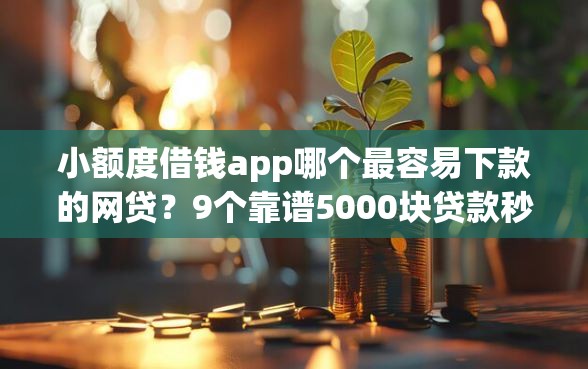 小额度借钱app哪个最容易下款的网贷？9个靠谱5000块贷款秒下平台推荐