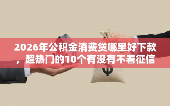2026年公积金消费贷哪里好下款，超热门的10个有没有不看征信的平台借钱推荐