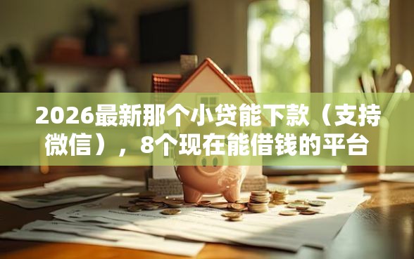 2026最新那个小贷能下款（支持微信），8个现在能借钱的平台无私分享
