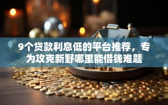 9个贷款利息低的平台推荐,专为攻克新野哪里能借钱难题 9个贷款利息低的平台推荐,专为攻克新野哪里能借钱难题