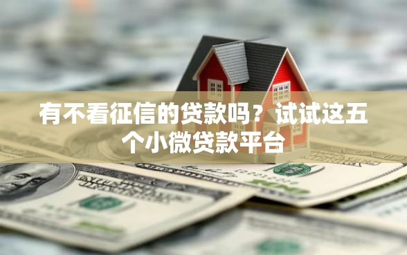 有不看征信的贷款吗？试试这五个小微贷款平台