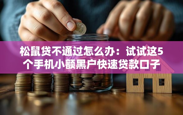 松鼠贷不通过怎么办：试试这5个手机小额黑户快速贷款口子