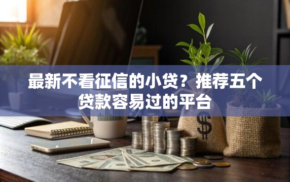 最新不看征信的小贷？推荐五个贷款容易过的平台