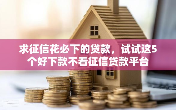 求征信花必下的贷款，试试这5个好下款不看征信贷款平台