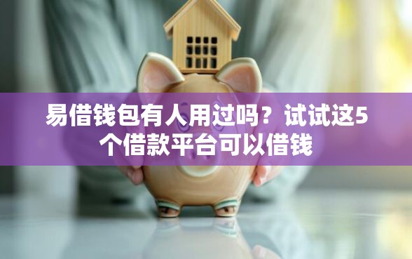 易借钱包有人用过吗？试试这5个借款平台可以借钱
