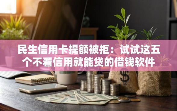 民生信用卡提额被拒：试试这五个不看信用就能贷的借钱软件