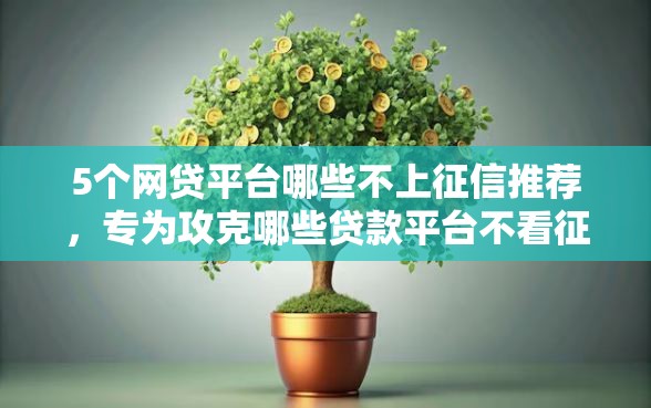 5个网贷平台哪些不上征信推荐，专为攻克哪些贷款平台不看征信难题