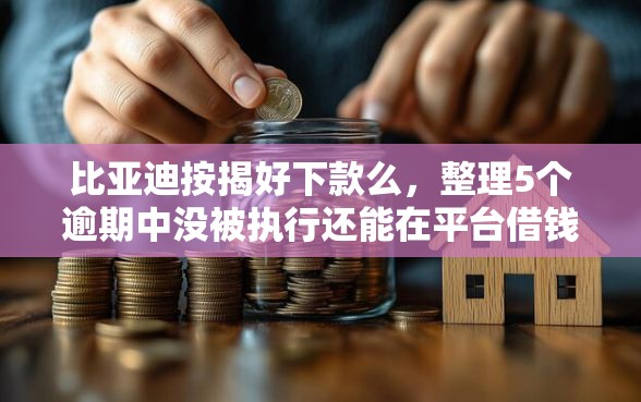 比亚迪按揭好下款么，整理5个逾期中没被执行还能在平台借钱