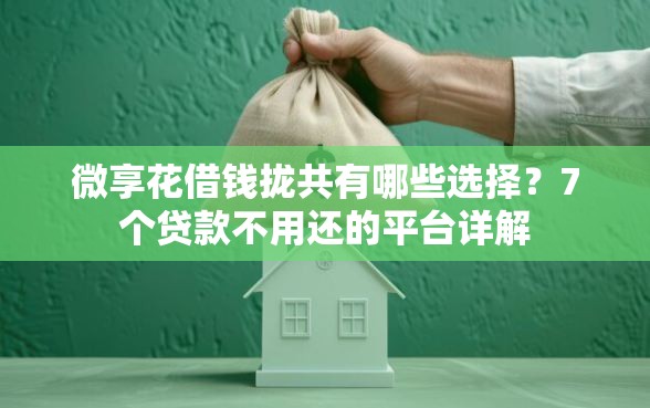微享花借钱拢共有哪些选择？7个贷款不用还的平台详解