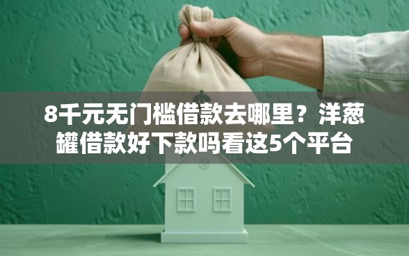 8千元无门槛借款去哪里？洋葱罐借款好下款吗看这5个平台
