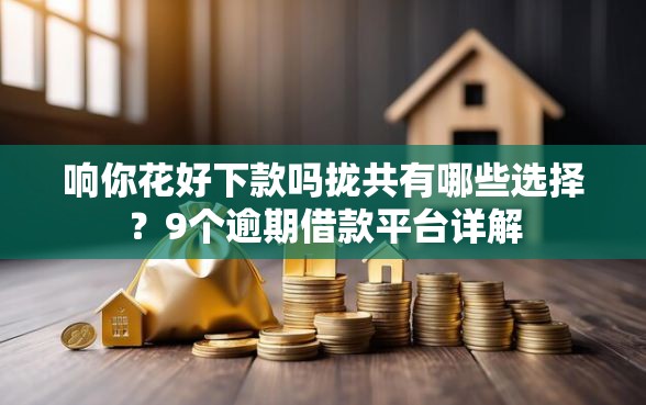 响你花好下款吗拢共有哪些选择？9个逾期借款平台详解