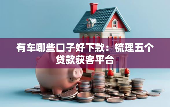 有车哪些口子好下款：梳理五个贷款获客平台